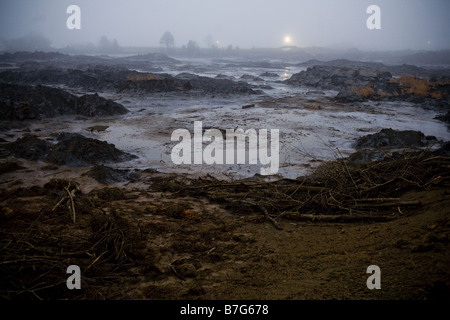 Die verwüstete Landschaft in der Nähe von Harriman, TN nach der Sintflut von Asche aus der TVA-Kohlekraftwerk. Stockfoto