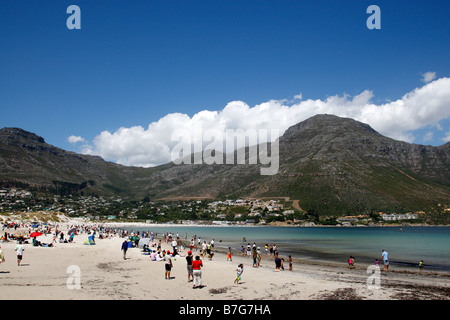 der Strand von Hout Bay-Kapstadt-Südafrika Stockfoto