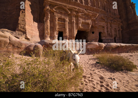 Korinthische Grab, Petra, Jordanien Stockfoto