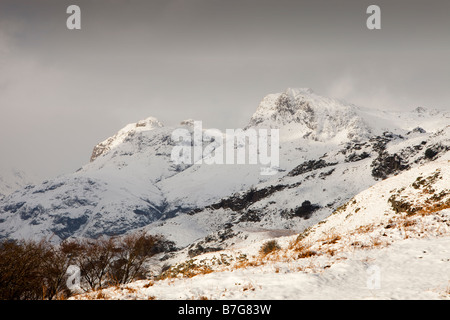 Die Langdael Hechte im Langdale Tal in den Lake District National Park Cumbria UK im Winterschnee Stockfoto