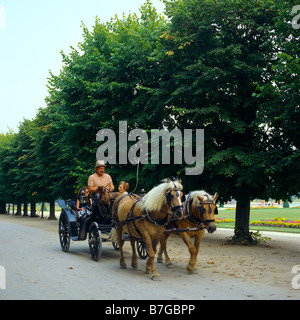 Pferderücken, Schlosspark von Chateau de Fontainebleau, seine-et-Marne, Ile-de-France, Frankreich, Europa, Stockfoto