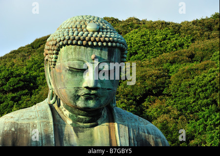 Grosse Buddha Kotoku-in Kamakura, Präfektur Kanagawa, Japan Stockfoto