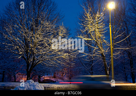 Nachtszene im Winter.  Straßenlaterne leuchtenden schneebedeckte Bäume mit unscharfen Auto vorbei an Straße. Stockfoto
