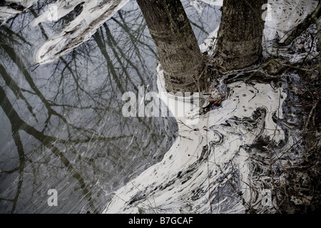 Die verwüstete Landschaft in der Nähe von Harriman, TN nach der Sintflut von Asche aus der TVA-Kohlekraftwerk. Stockfoto