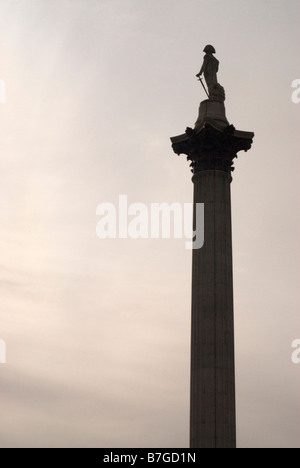 Nelsonsäule in Trafalga Square Stockfoto