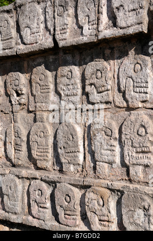 Steinschnitzereien von grinsenden Schädel, Tzompantli Plattform, Chichen Itza, Mexiko Stockfoto