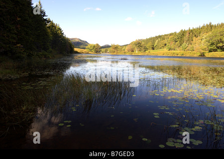 Teich auf Mount Desert Island Maine usa Stockfoto