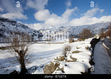 Die Langdael Hechte im Langdale Tal in den Lake District National Park Cumbria UK im Winterschnee Stockfoto