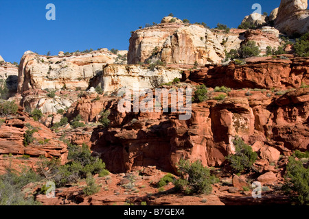 Schönen roten Felsen oberhalb der Lower Calf Creek Falls Trail in Grand Staircase Escalante in Utah Stockfoto