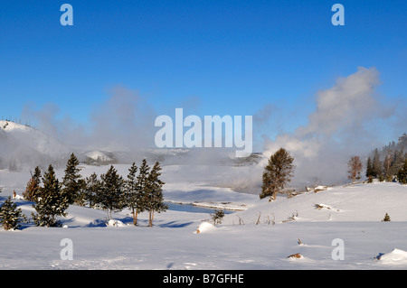 Winterlandschaft. Der Yellowstone Nationalpark, Wyoming, USA. Stockfoto