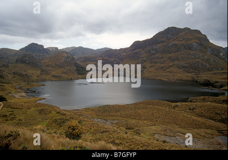 See im Cajas Nationalpark in den Anden Paramo, Ecuador, Südamerika Stockfoto