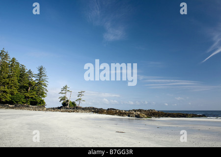 BRITISH COLUMBIA - Strand mit Bäumen auf einem felsigen Punkt zwischen Nissen Bight und Fischer Bay entlang der North Coast Trail. Stockfoto