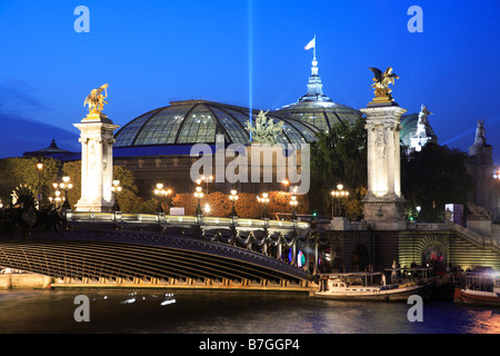 PARIS ALEXANDRE III BRÜCKE UND GRAND PALAIS IN DER NACHT Stockfoto
