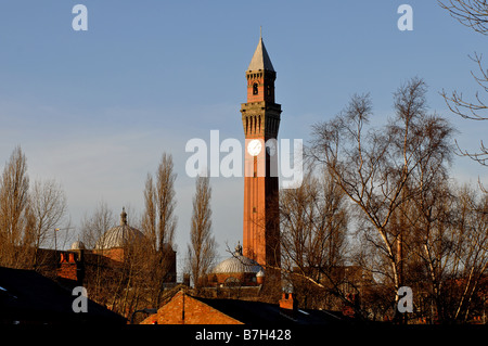 Joseph Chamberlain Memorial Clock Tower, University of Birmingham, West Midlands, England, UK Stockfoto