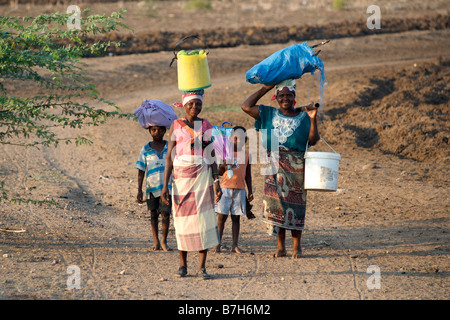 Porträt der afrikanischen Frau und Kinder in der Nähe der Stadt Chokwe im südlichen Mosambik. Stockfoto