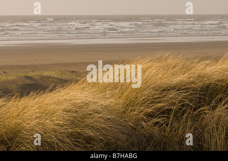 Strand von Cefn Sidan in Pembrey Country Park Carmarthenshire South Wales Stockfoto