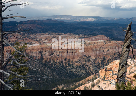 Panoramablick auf der Bryce-Canyon-Nationalpark Stockfoto