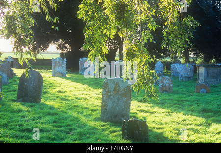 Hinterleuchtete verlässt Frühherbst gemeinsame Asche Baum Rahmung goldenen sonnigen Friedhof Grabsteine und Gras Stockfoto