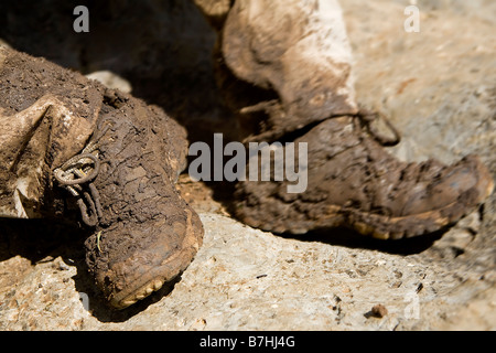 Ein paar schlammige Wanderschuhe Guatemala Stockfoto