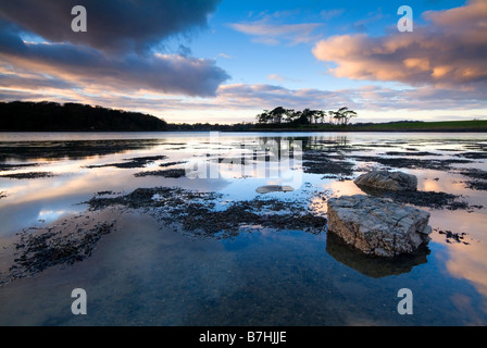 Landschaft von Strangford Mündung mit Bäumen Nachdenken über Wasser bei Sonnenuntergang County Down Northern Ireland Stockfoto