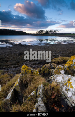 Landschaft von Strangford Mündung mit Bäumen Nachdenken über Wasser bei Sonnenuntergang County Down Northern Ireland Stockfoto