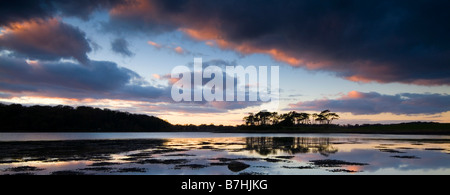 Panorama-Landschaft von Strangford Mündung mit Bäumen Nachdenken über Wasser bei Sonnenuntergang County Down Northern Ireland Stockfoto