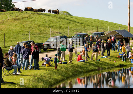 Familien versammelten sich um Teich für Sommer-morgen-Angeln-Derby, Büffel im Hintergrund Stockfoto