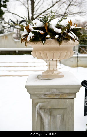 Eine Topfpflanze sitzt außerhalb der Franklin Park Conservatory in der Winterzeit. Stockfoto