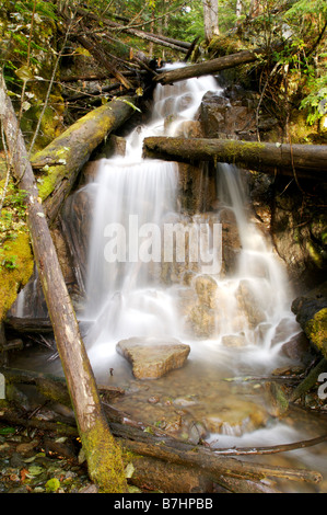 Wasserfall in so River Valley in der Nähe von Whistler British Columbia Kanada Stockfoto