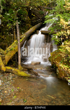 Wasserfall in so River Valley in der Nähe von Whistler British Columbia Kanada Stockfoto