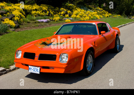 1976 Pontiac Trans Am Stockfoto