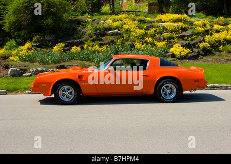 1976 Pontiac Trans AM Stockfoto