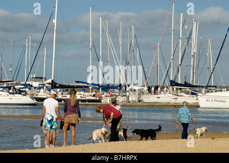 Leine "Dog Beach" in Brighton auf Port Phillip Bay, Melbourne, Australien Stockfoto