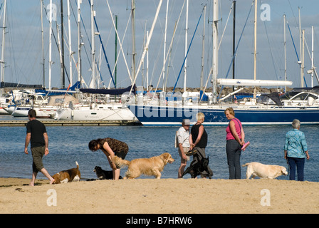 Leine "Dog Beach" in Brighton auf Port Phillip Bay, Melbourne, Australien Stockfoto