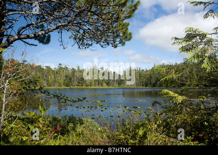 BRITISH COLUMBIA - Lachen Loon Lake entlang der North Coast Trail im Cape Scott Provincial Park auf Vancouver Island. Stockfoto