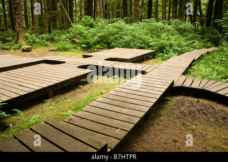 BRITISH COLUMBIA - Boardwalk Komplex an Eric Lake Areal auf der North Coast Trail im Cape Scott Provincial Park. Stockfoto