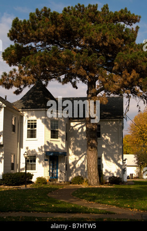 Haus mit Achteck geformt Foyer und große Kiefer Stockfoto