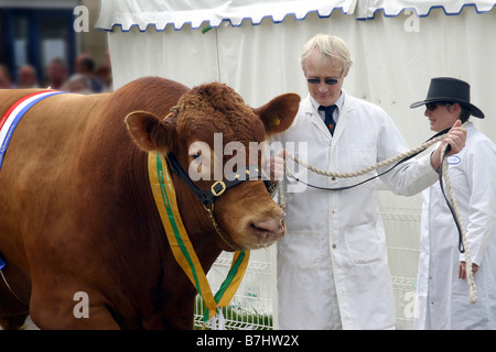 Die königliche Badewanne & Westerscheinen Stockfoto