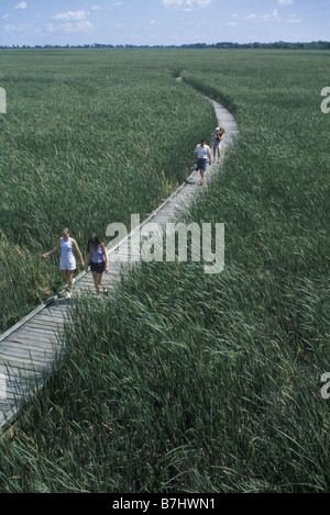 Touristen auf der Promenade in Point Pelee National Park, Ontario, Kanada Stockfoto