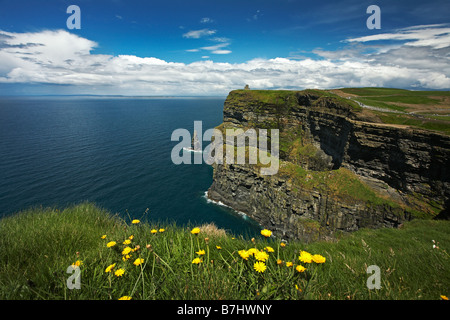 Klippen von Moher, County Clare, Republik Irland. Stockfoto