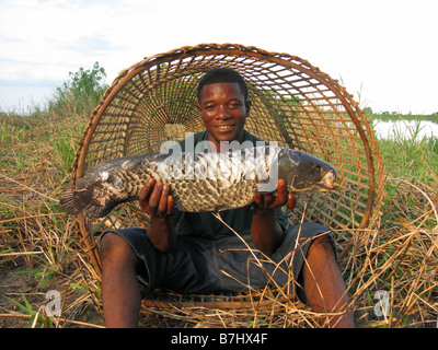 Kongolesischen Fischer in der Mündung des konischen Fischfalle mit großen Fischen am unteren Kongo Demokratische Republik Kongo Stockfoto