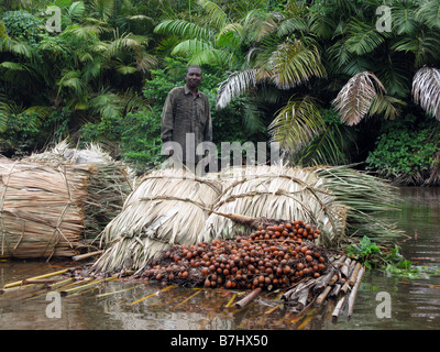 Fischer-Mann auf hausgemachten Floß der Pole peitschte zusammen mit Schwergut von thatching Material Fluss Kongo Demokratische Republik Stockfoto