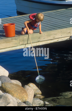 Kleiner Junge fängt kleine Fische mit Netz aus dem Dock. Stockfoto