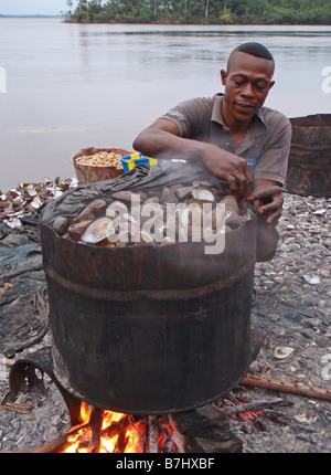 Fischer kocht Muscheln Muscheln Austern Muscheln in großen Metall Eisen Trommel am Ufer des Flusses Kongo Demokratische Republik Kongo Stockfoto