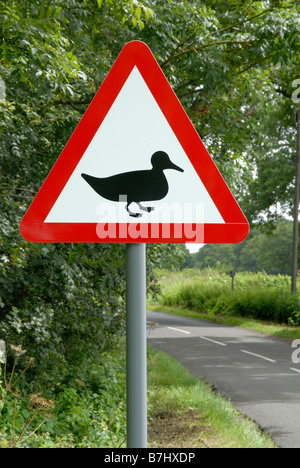 Ente überqueren Vorsicht Zeichen auf Landstraße in Surrey, England, Großbritannien, Vereinigtes Königreich, Europa Stockfoto