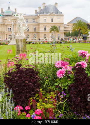 Schöne Blumen und das Palais du Luxembourg im Jardin du Luxembourg in Paris, Frankreich-Europa Stockfoto