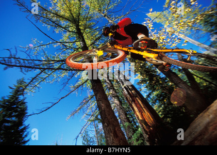 junger Mann fängt Luft auf Mountainbike in der Nähe von Fernie, BC, Kanada Stockfoto