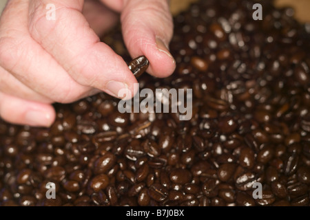 Espresso Kaffeebohnen, b.c. Stockfoto