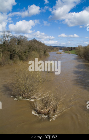 dh River Wye POWYS WALES Wye Valley River platzen Flussufern Auen Hochwasser Hochwasser Stockfoto