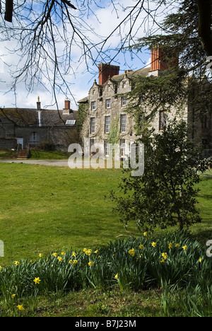 dh Heu auf Narzissen Wye POWYS WALES Heu Schloss und Garten Stockfoto